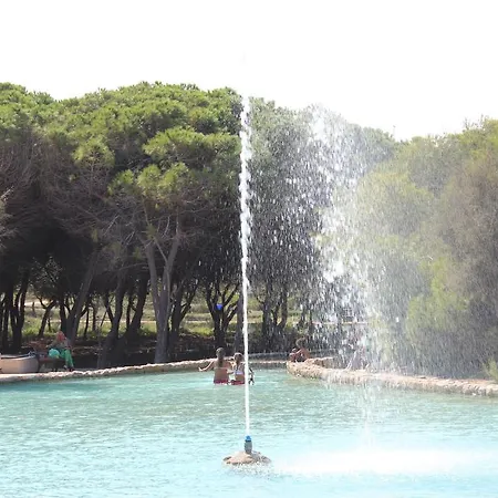 Vinamar 3 * La Mata (Torrevieja)